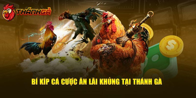 Bí kíp cá cược ăn lãi khủng tại Thánh Gà 