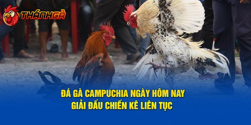 Đá gà Campuchia ngày hôm nay - Giải Đấu Chiến Kê Liên Tục