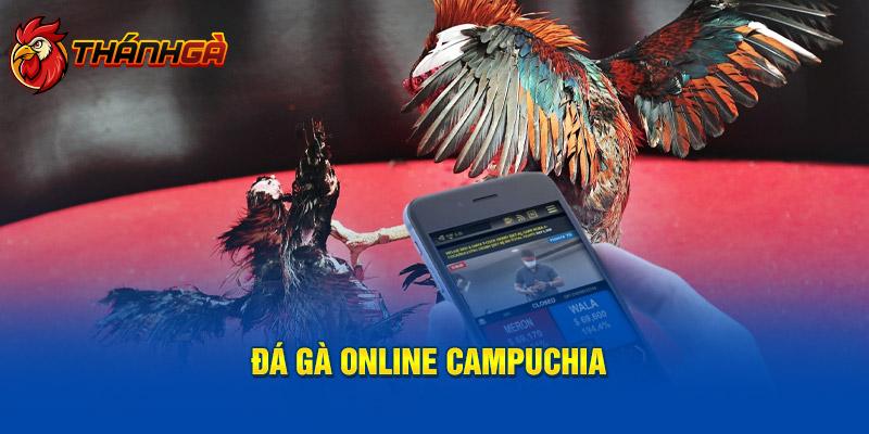 Đá Gà online Campuchia 