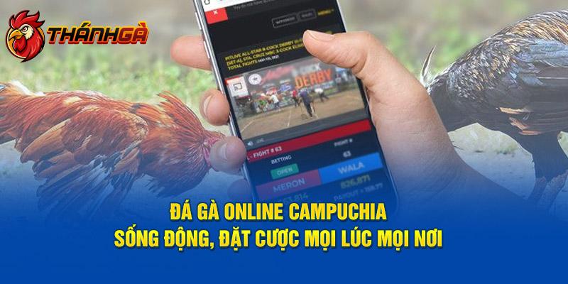 Đá Gà Online Campuchia - Sống Động, Đặt Cược Mọi Lúc Mọi Nơi