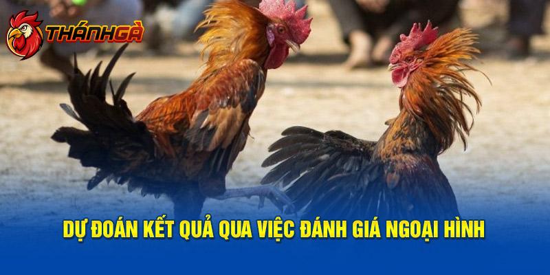 Dự đoán kết quả qua việc đánh giá ngoại hình 