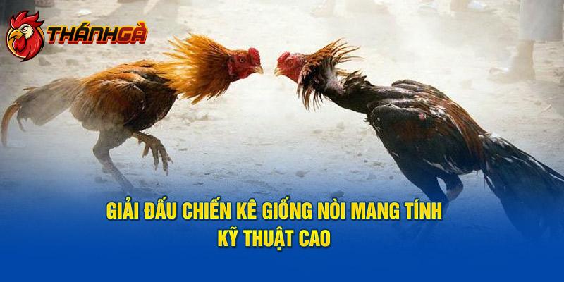 Giải đấu chiến kê giống nòi mang tính kỹ thuật cao