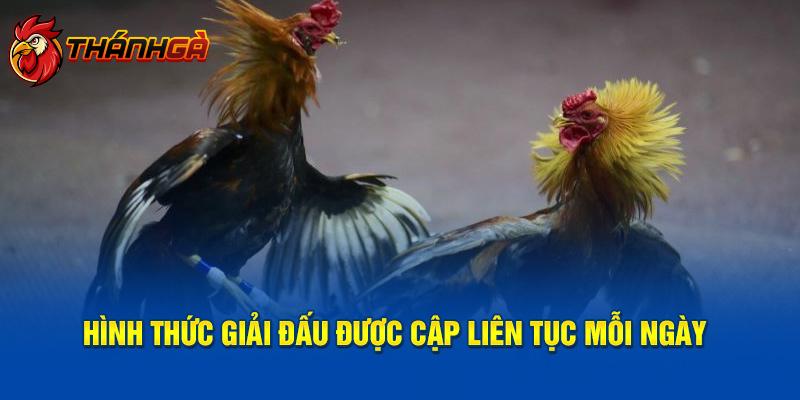 Hình thức giải đấu được cập liên tục mỗi ngày 