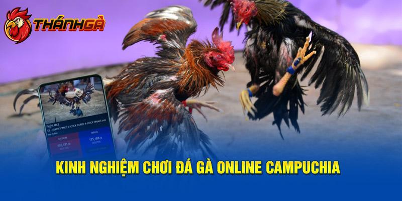 Kinh nghiệm tham gia đá gà online Campuchia 