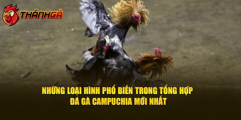     Những loại hình phổ biến trong tổng hợp đá gà campuchia mới nhất