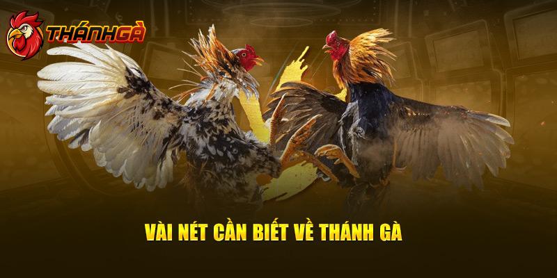 Vài nét cần biết về Thánh Gà 